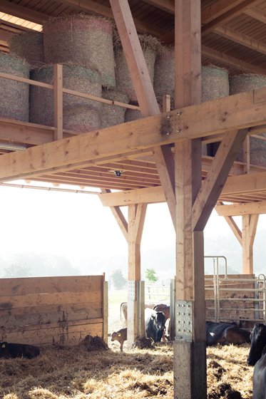 Blick durch den Stall ins Freie © Stefan Gruber