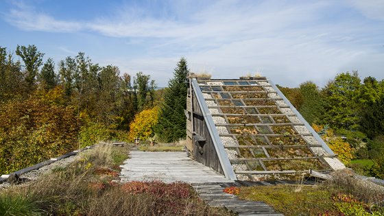 Dachgarten @ Renate Schrattenecker-Fischer