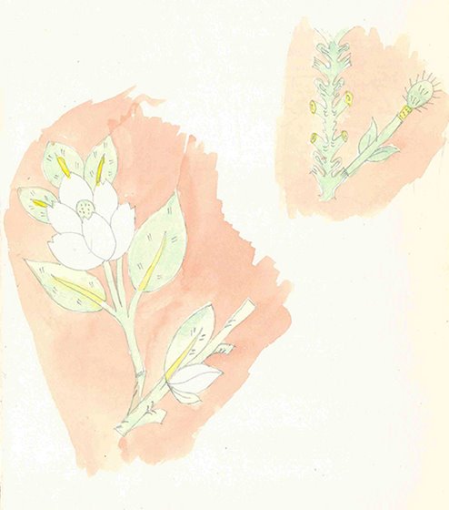 Aquarellskizze nach Stoffdruck, Topkapi Serail, Istanbul