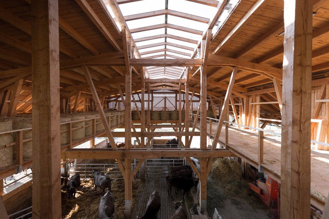 Interior view © Stefan Gruber